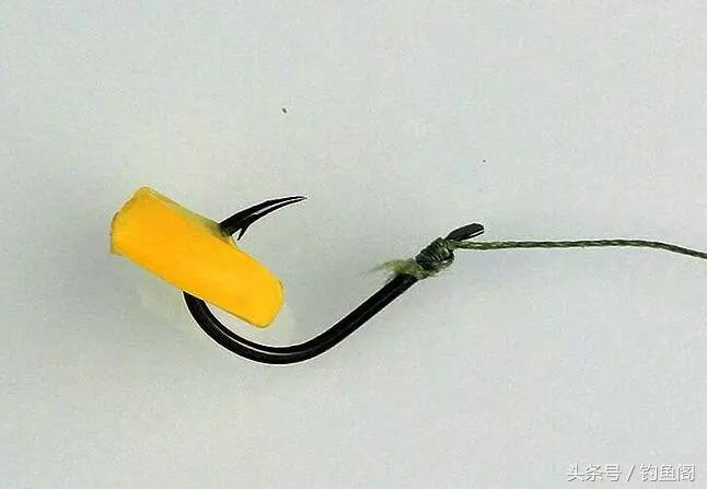 使用玉米钓鱼技巧,用玉米钓鱼方法