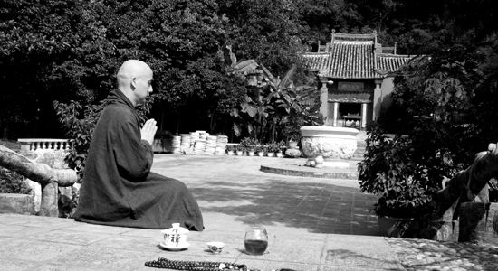 冬日暖茶偷得浮生半日闲,浅品一杯茶偷得浮生半日闲