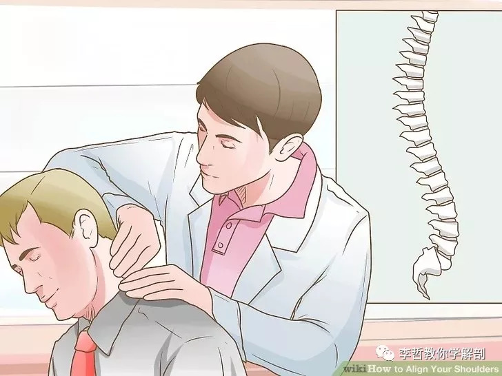 在天愿作比翼鸟任务,在天愿作比翼鸟运用了什么手法