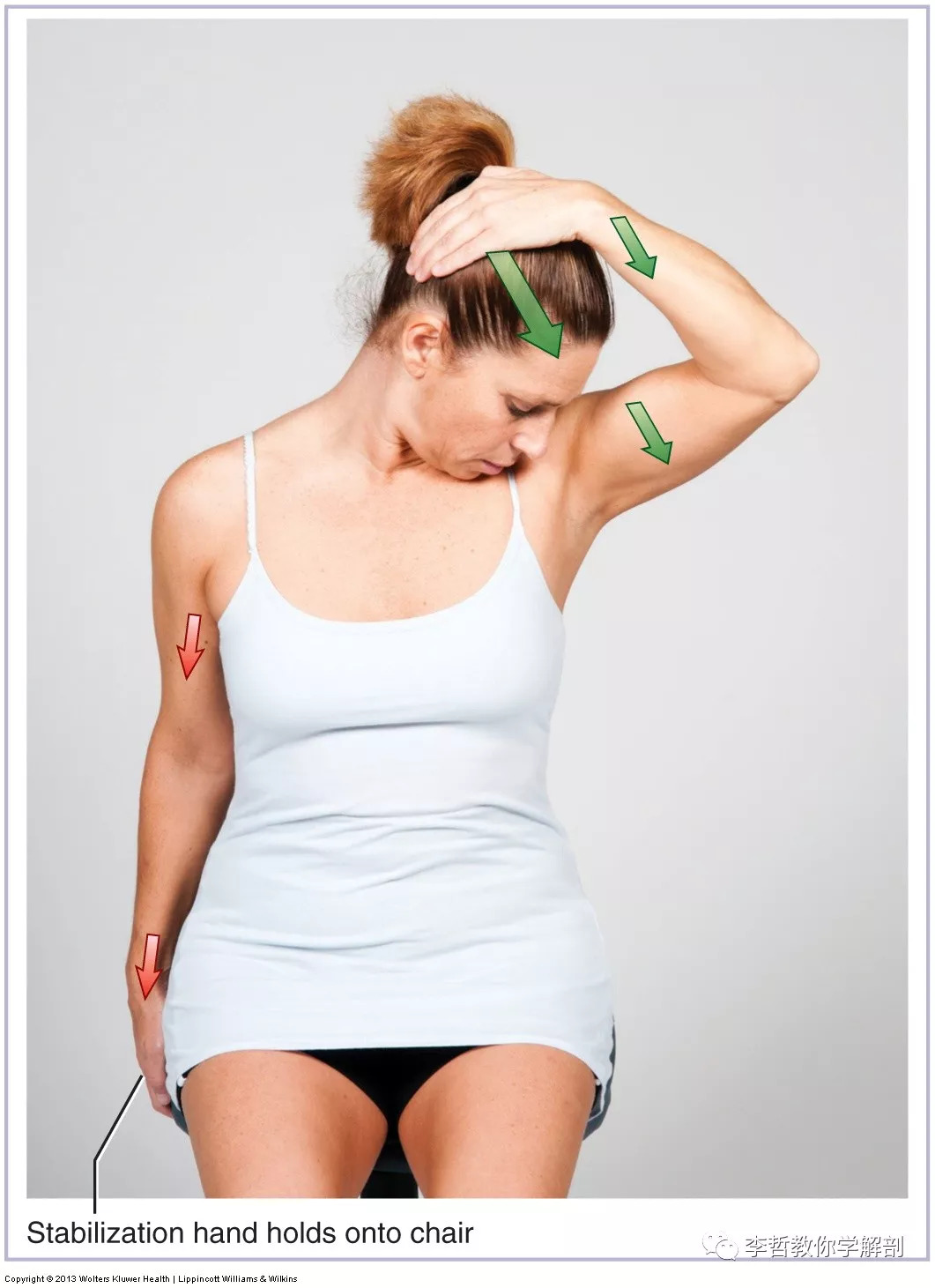 在天愿作比翼鸟任务,在天愿作比翼鸟运用了什么手法