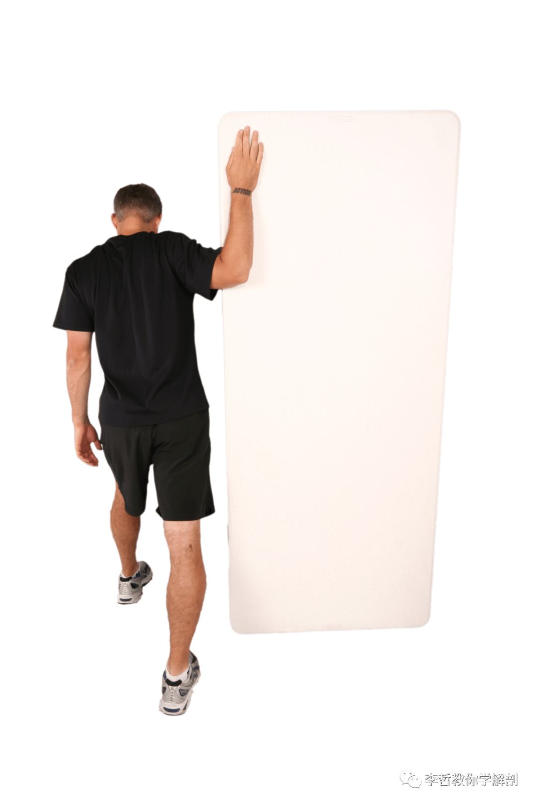 在天愿作比翼鸟任务,在天愿作比翼鸟运用了什么手法