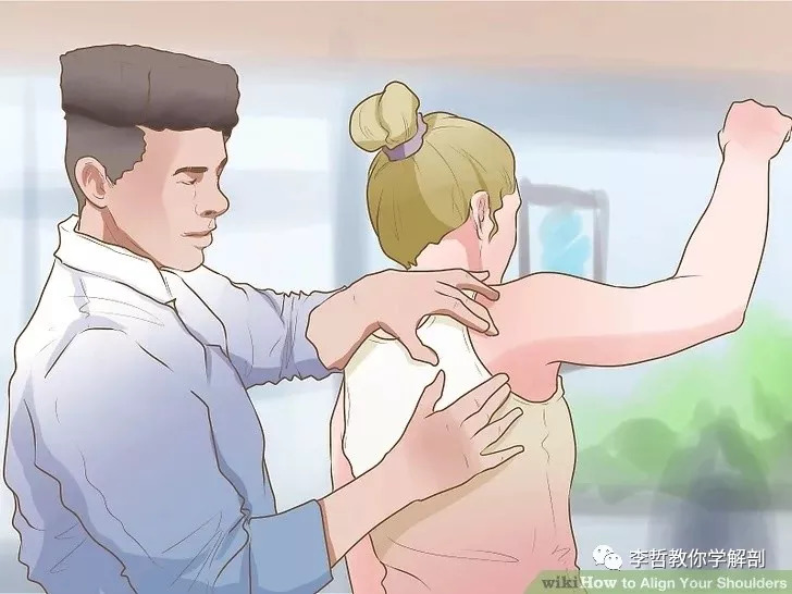 在天愿作比翼鸟任务,在天愿作比翼鸟运用了什么手法