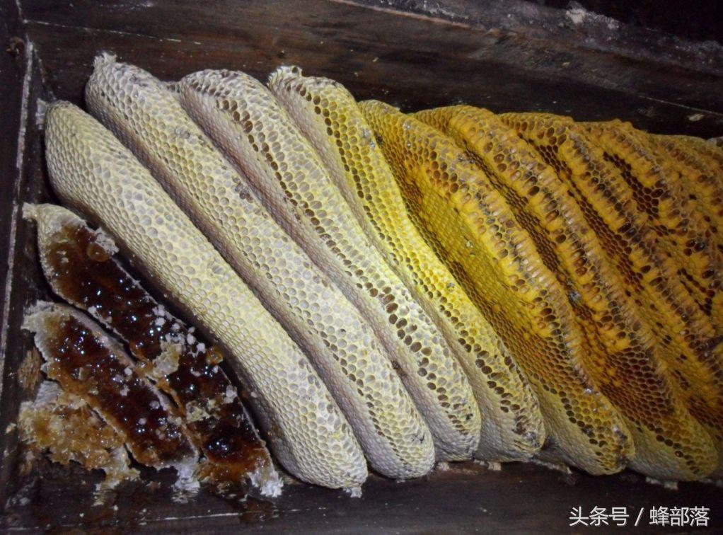 你天天吵着要吃的土蜂蜜,或许质量远远低于你天天喷的意蜂蜜