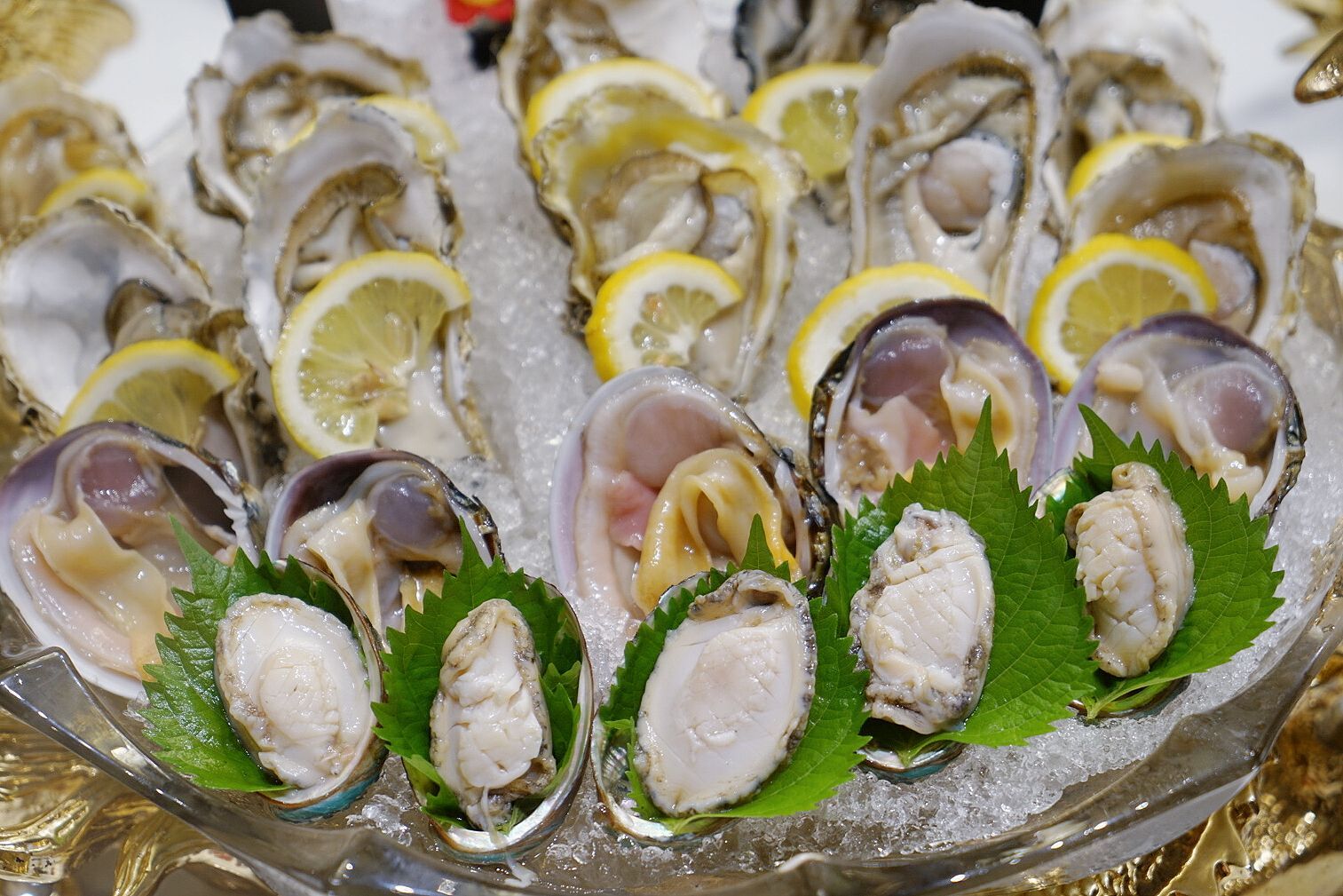 海鲜姿造餐厦门,厦门海鲜姿造自助价格