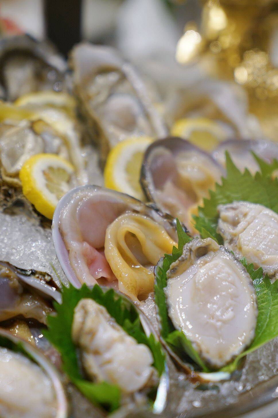 海鲜姿造餐厦门,厦门海鲜姿造自助价格