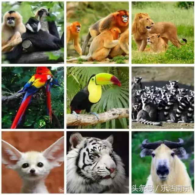 南京市放假,南京放假通知最新发布