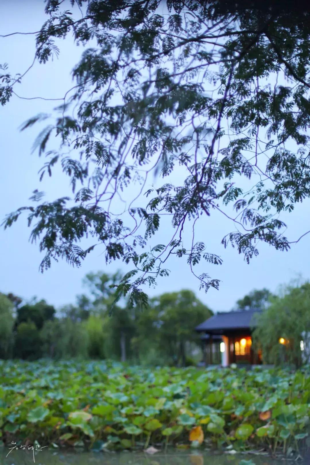 常熟沙家浜旅游攻略,游江苏省苏州市沙家浜景区