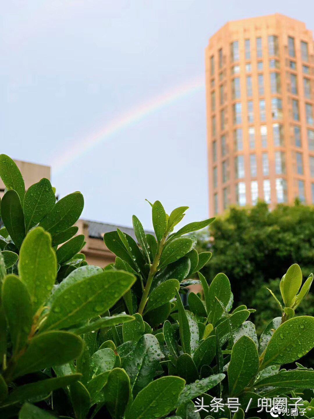 今天的双彩虹,昨天广福路上的双彩虹