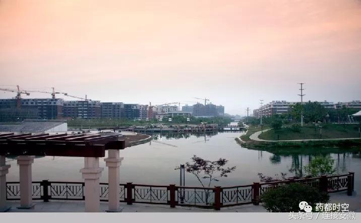 亳州市十八岁的照片,安徽亳州地级市排行