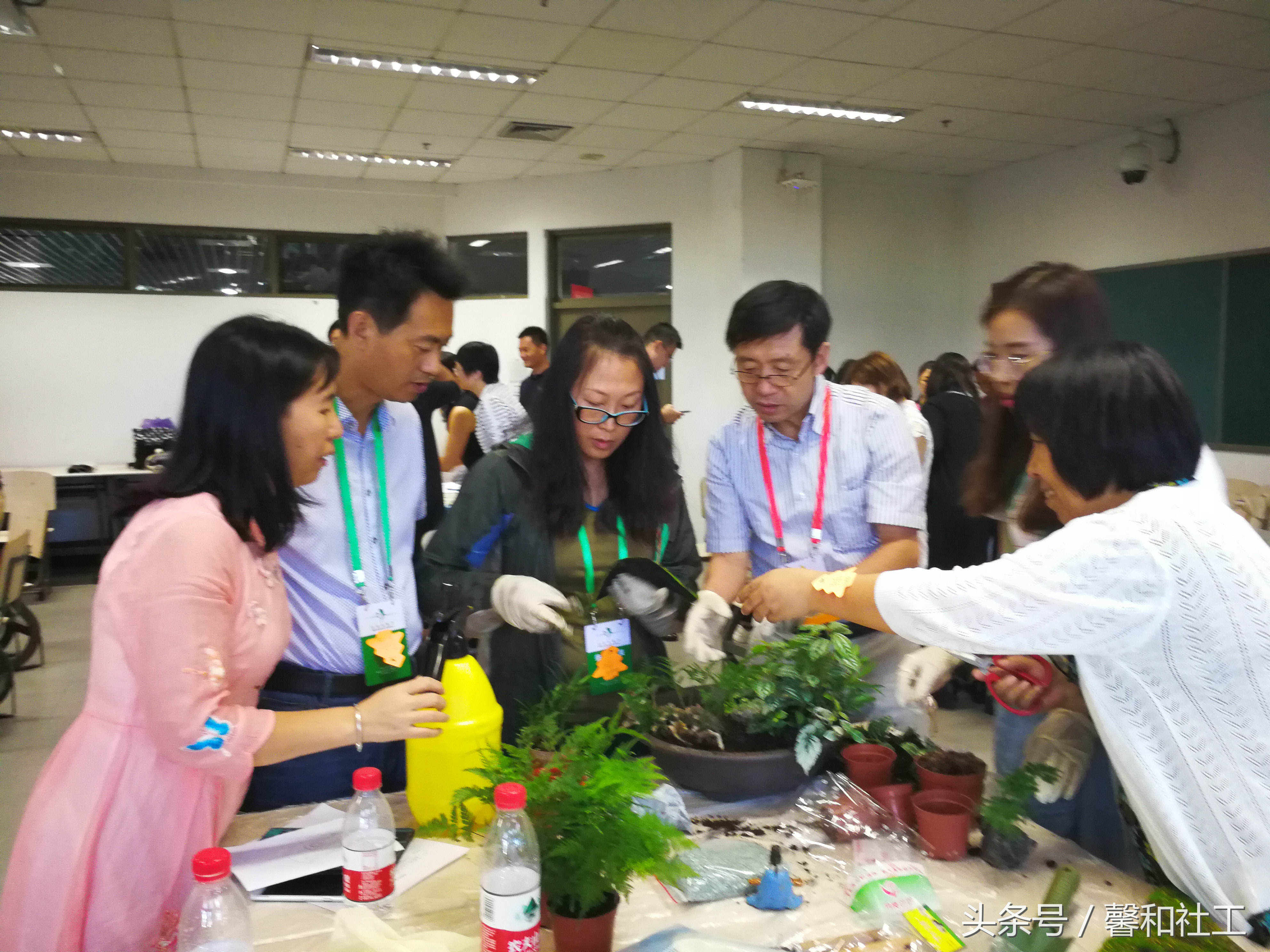 2018亚洲园艺疗法联盟国际会议暨中国园艺疗法学术与实践研讨会在清华大学成功举办