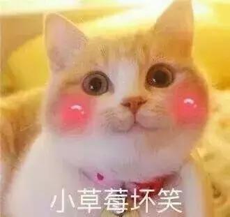 天津到香港的高铁怎么通关,天津到北京五天4晚旅游攻略