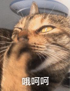 天津到香港的高铁怎么通关,天津到北京五天4晚旅游攻略