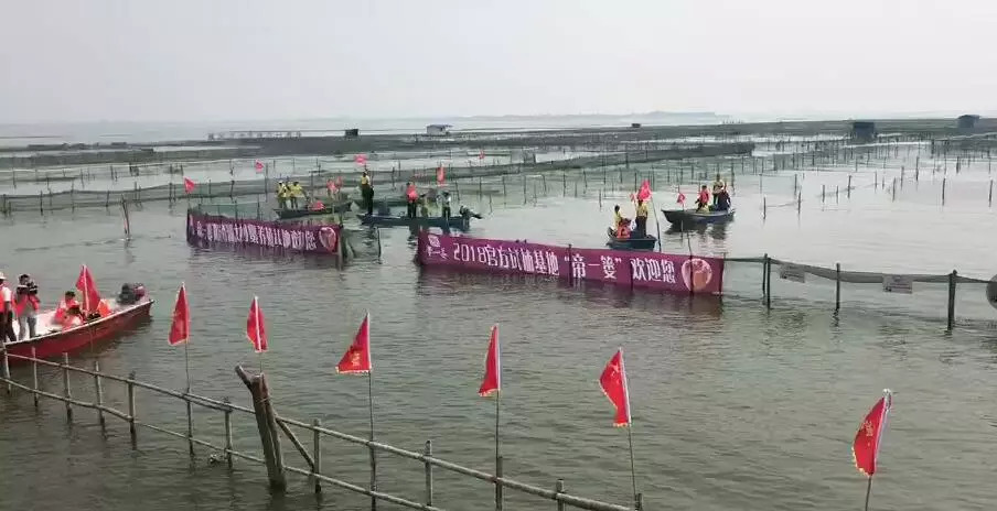 阳澄湖大闸蟹4.5两公蟹价格,四两阳澄湖大闸蟹价格