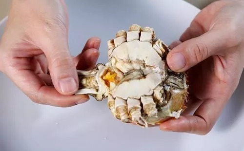 阳澄湖大闸蟹4.5两公蟹价格,四两阳澄湖大闸蟹价格