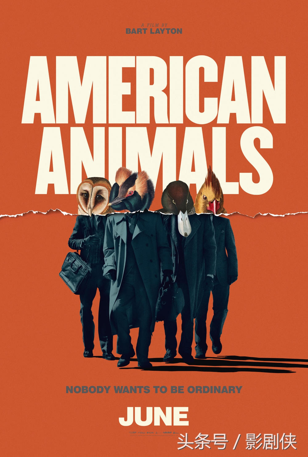 美国动物真实事件原型是什么,美国动物事件改编