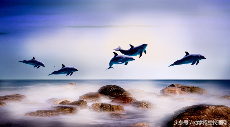 教育机构创意招生,教育机构线上招生玩法