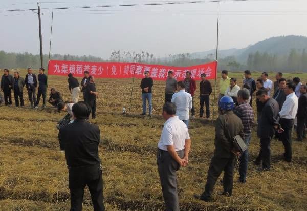 稻草不处理对身体有什么影响,稻草不处理会怎么样