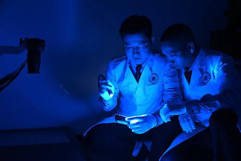 实战见真章什么意思,实战见真章是什么意思