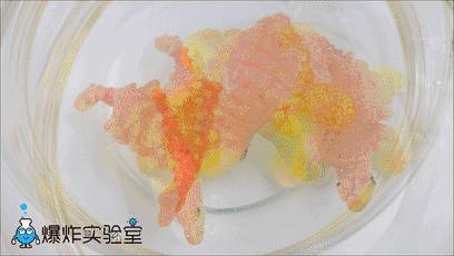 吃下去的食物是怎样消化吸收的,食物的消化和营养物质的吸收视频