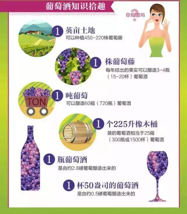 酒店餐厅葡萄酒基本知识普及,餐厅常见葡萄酒