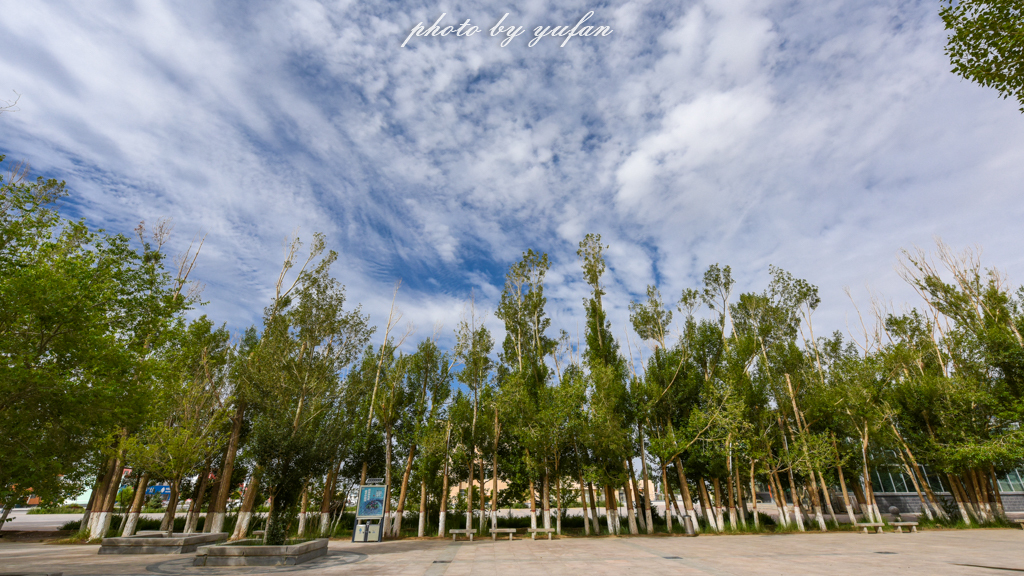 世界上最大的深水沟,世界上最深的沟谷