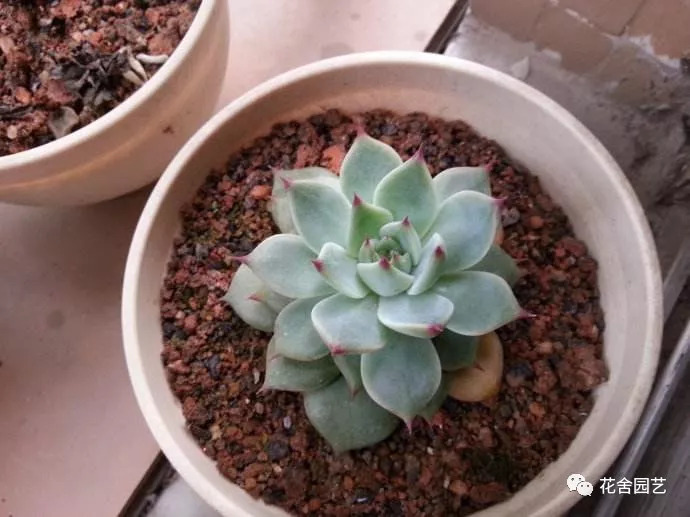 废弃石渣的利用,煤炭炉渣变废为宝