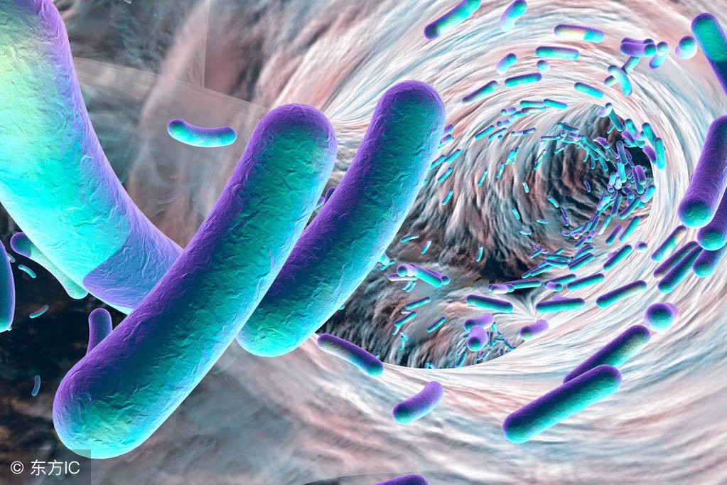 什么是痢疾？关于痢疾，这是一篇值得关注的文章