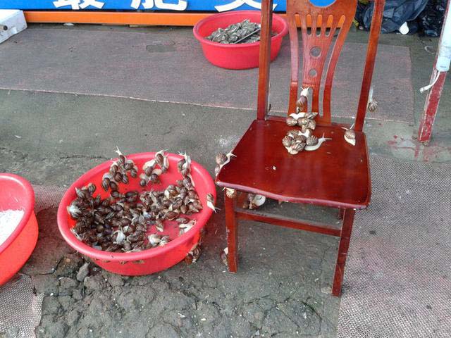 日照三日游攻略,日照三日游带娃最佳攻略