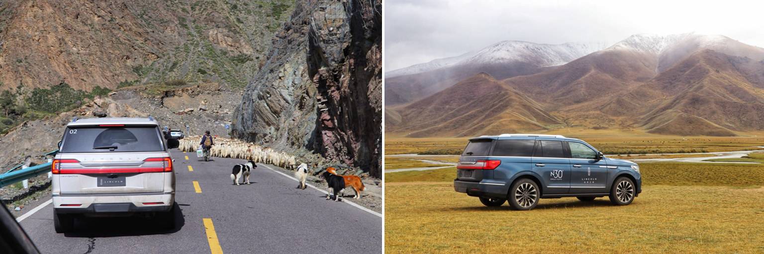 西装革履领航员,西装革履展示