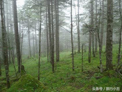 秦岭太白山南北穿越模板,秦岭主峰太白山两天一夜穿越