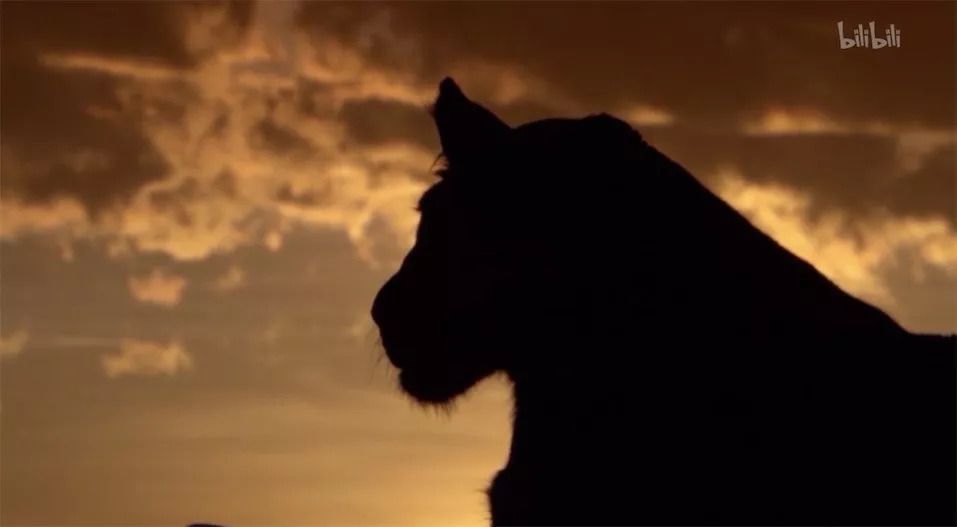 中秋月圆让我们来科普一下月球,科普知识月球月圆