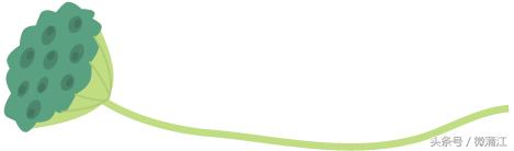 赏花、骑马、赛车、游湖……中秋来石象湖样样都精彩!