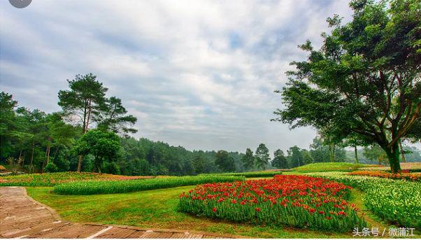 赏花、骑马、赛车、游湖……中秋来石象湖样样都精彩!