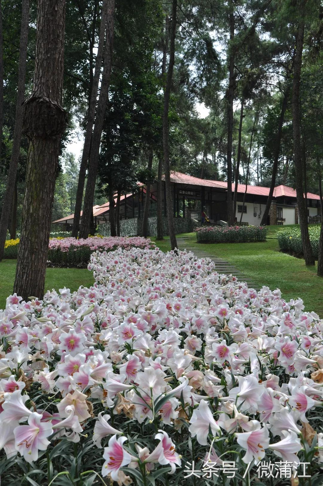 赏花、骑马、赛车、游湖……中秋来石象湖样样都精彩!