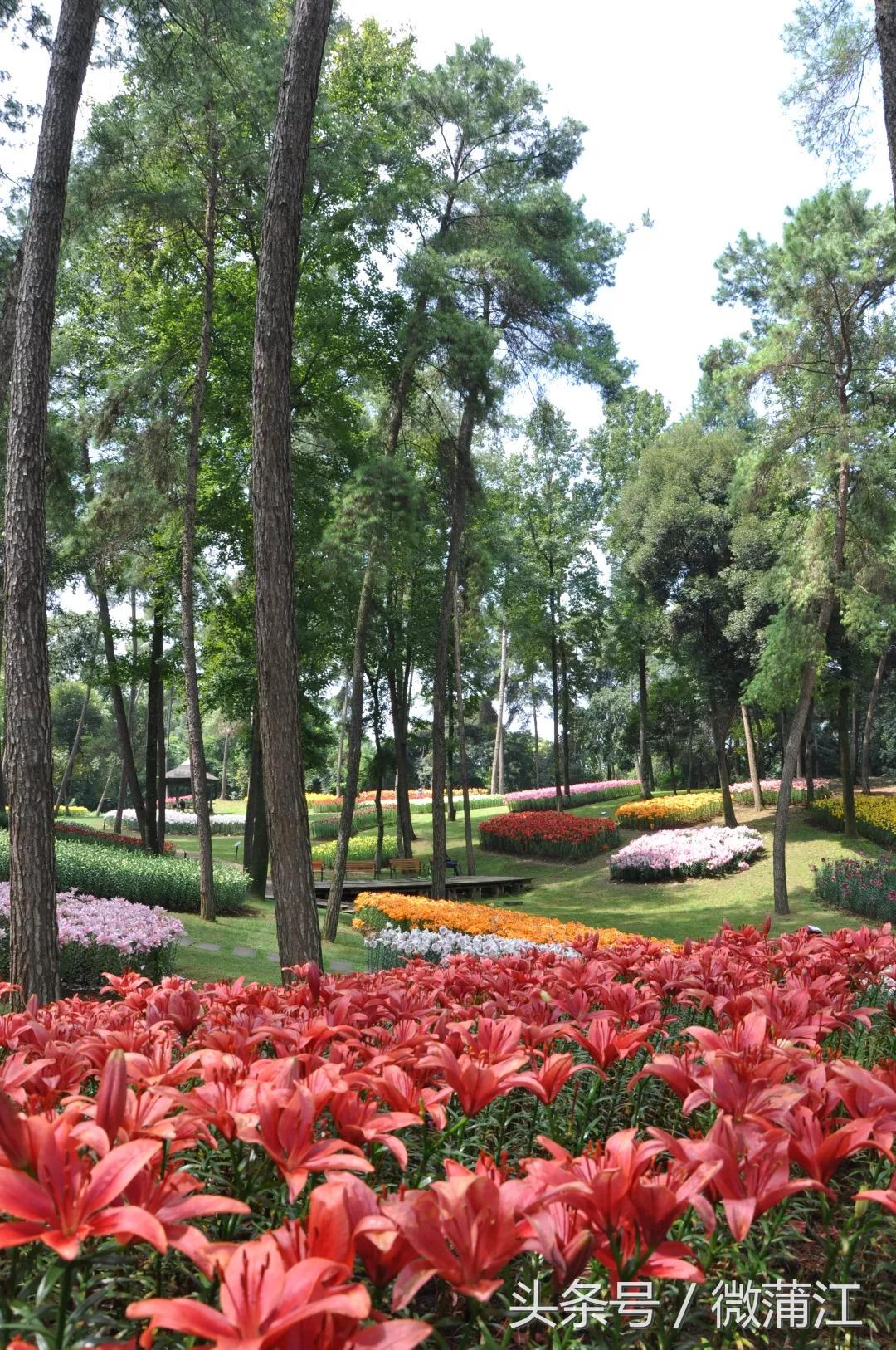 赏花、骑马、赛车、游湖……中秋来石象湖样样都精彩!