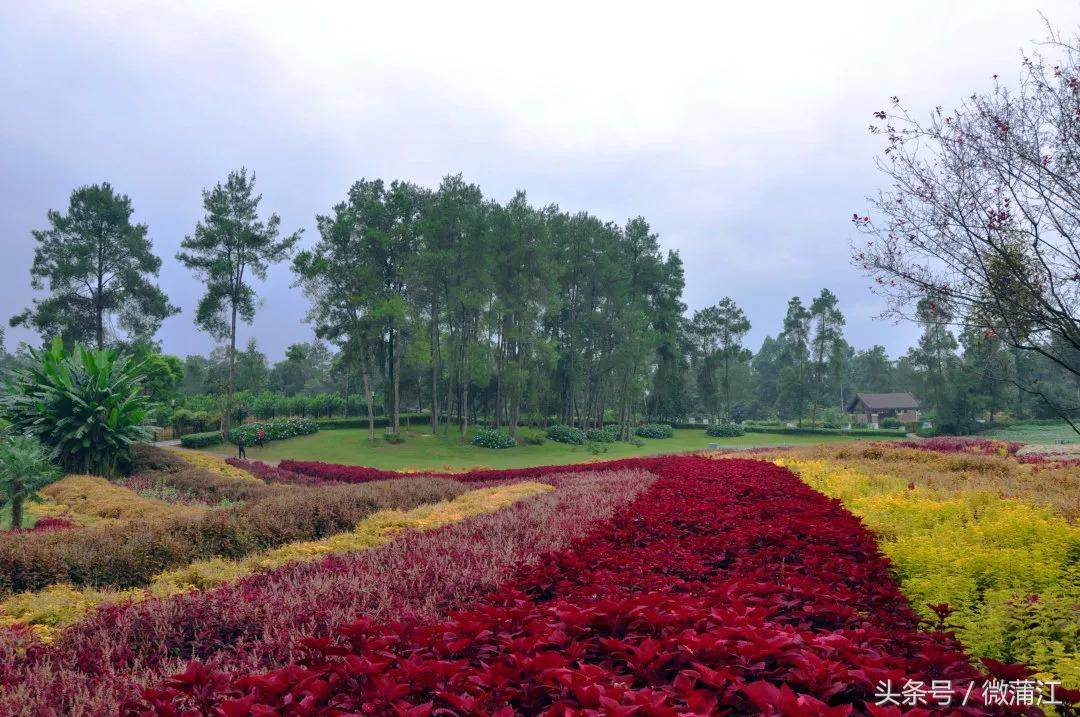 赏花、骑马、赛车、游湖……中秋来石象湖样样都精彩!