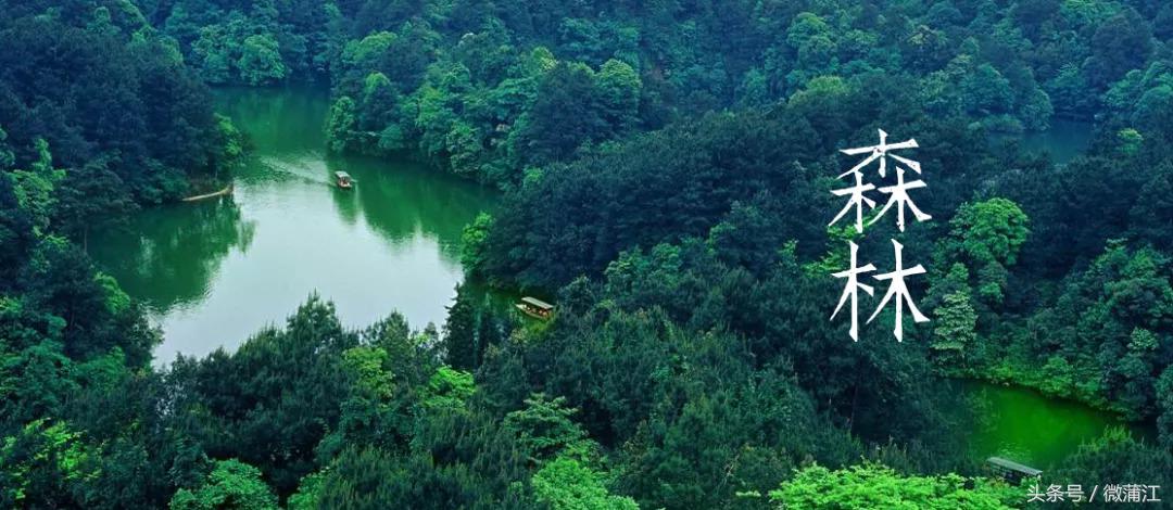 赏花、骑马、赛车、游湖……中秋来石象湖样样都精彩!