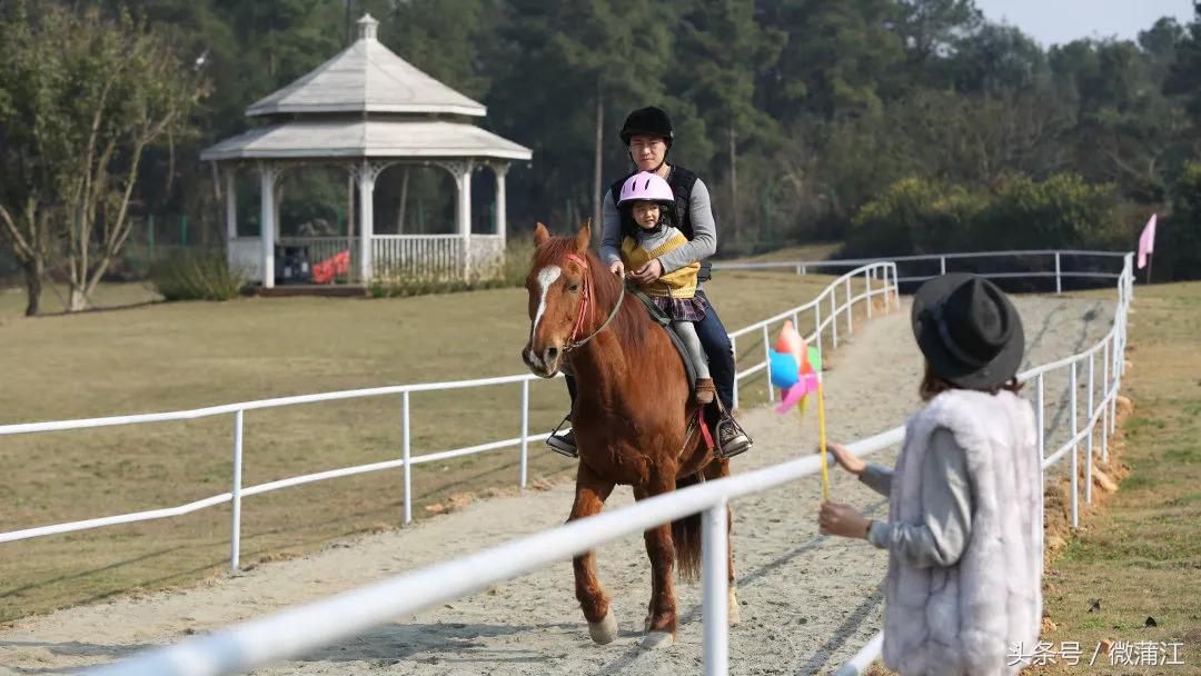 赏花、骑马、赛车、游湖……中秋来石象湖样样都精彩!