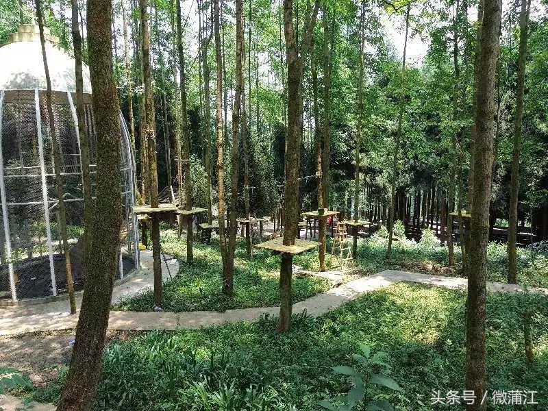 赏花、骑马、赛车、游湖……中秋来石象湖样样都精彩!