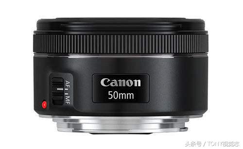 单反镜头的牛头和狗头,单反狗头图片大全