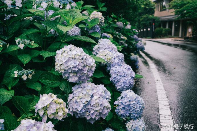 日本秘汤之旅,日本秘汤温泉