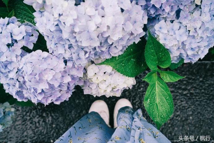 日本秘汤之旅,日本秘汤温泉