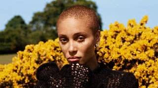 宁静光头奇葩造型,光头宁静