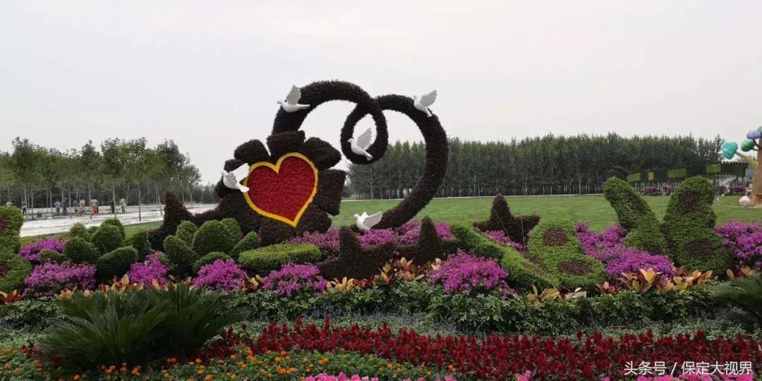 保定市旅发大会直播,第二届保定旅发大会