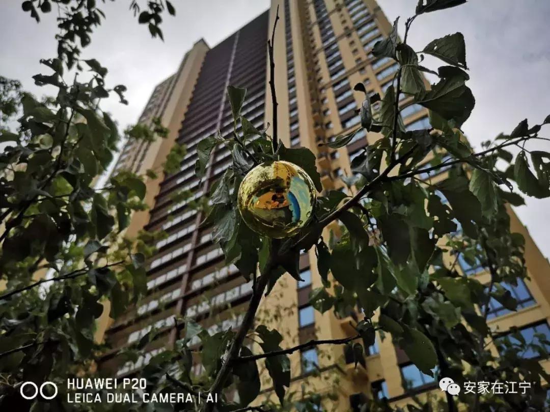 今天江宁最牛神盘交付！二手房价破40000元/㎡！业主笑了……