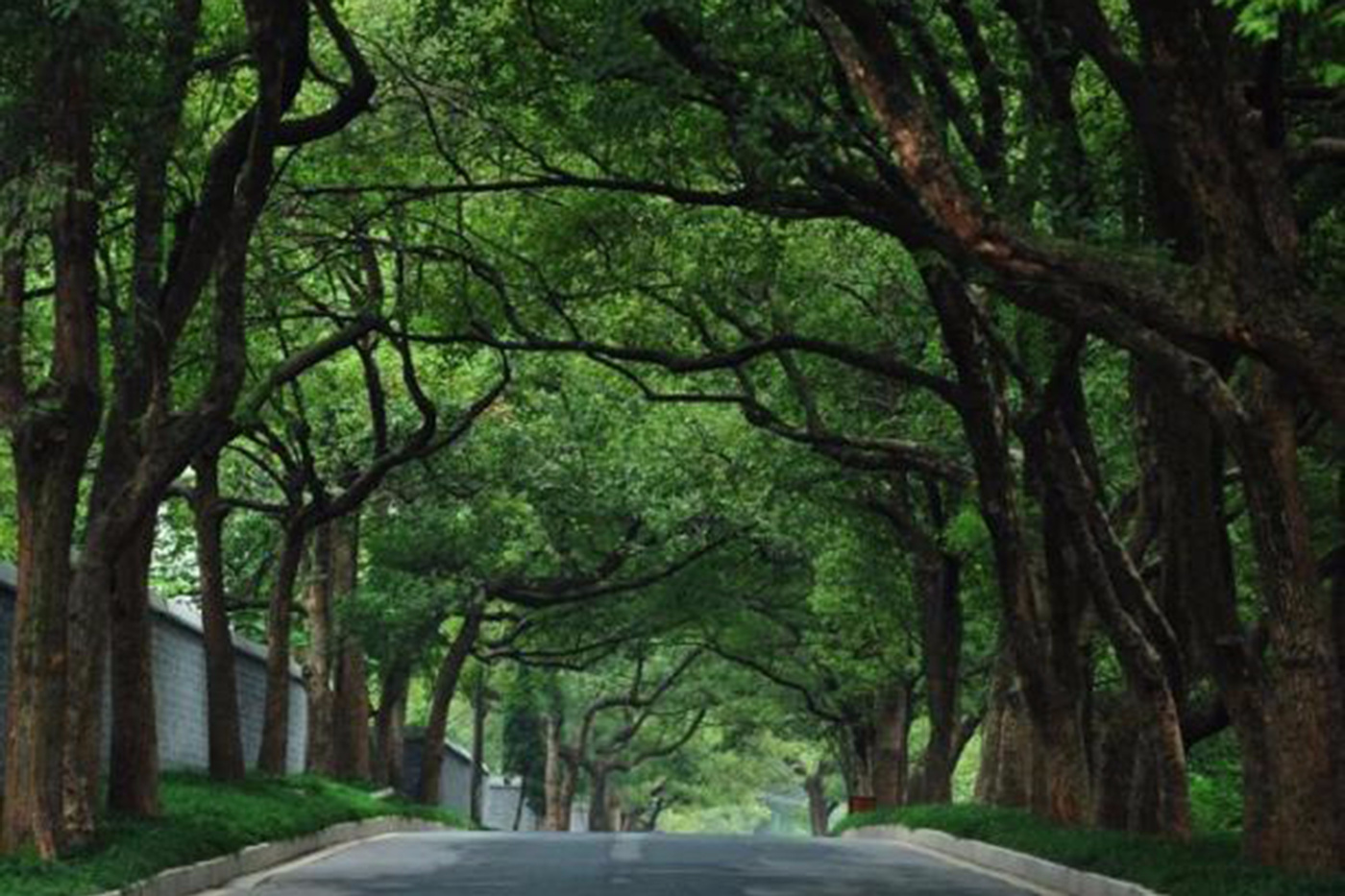 西湖之畔杭州,杭州西湖之畔