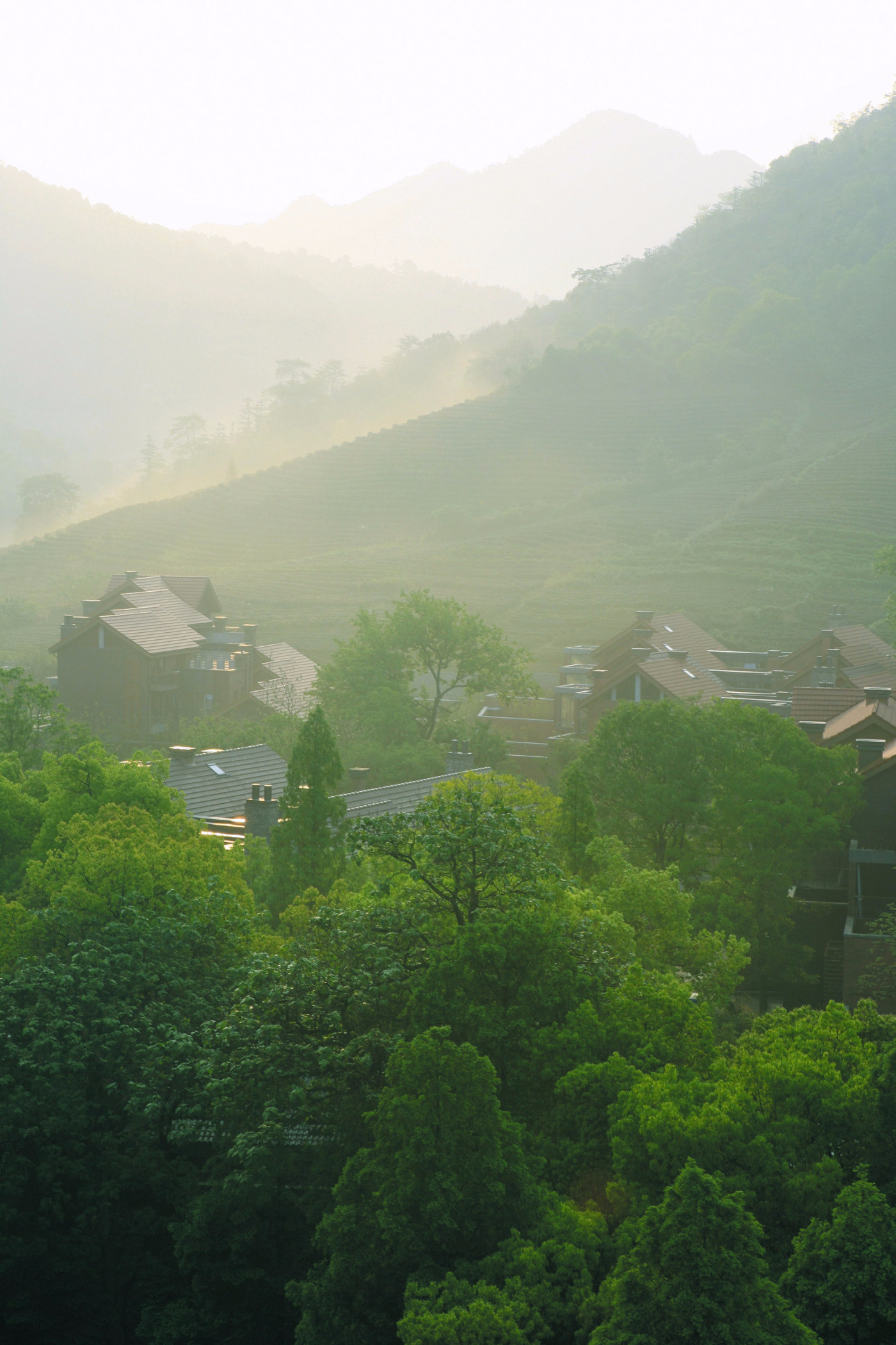 西湖之畔杭州,杭州西湖之畔