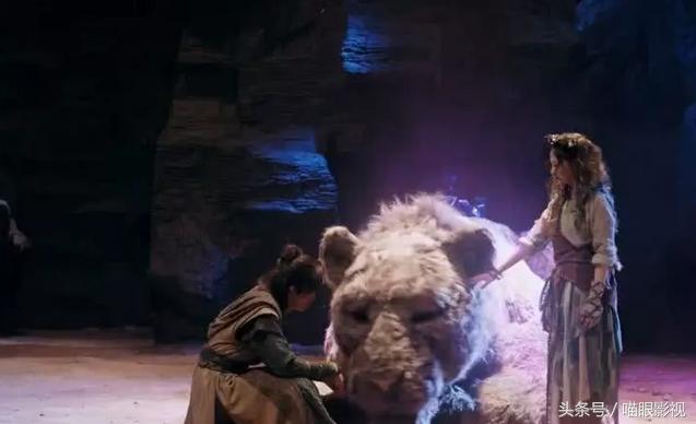 斗破苍穹脑洞,脑洞大开的布娃娃