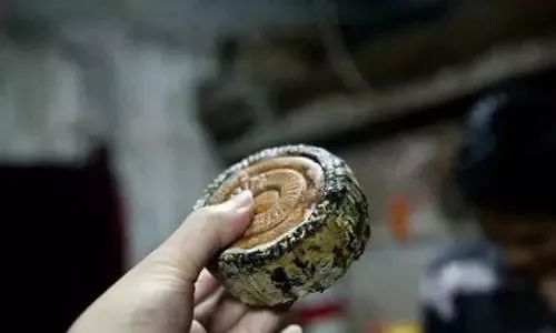 注意这些月饼抽检不合格千万别买,不合格的月饼抽检标准