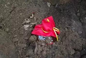 史上最奇葩的海南酒,海南奇葩饮料